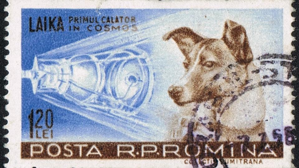 Lajka na rumunské poštovní známce z roku 1959